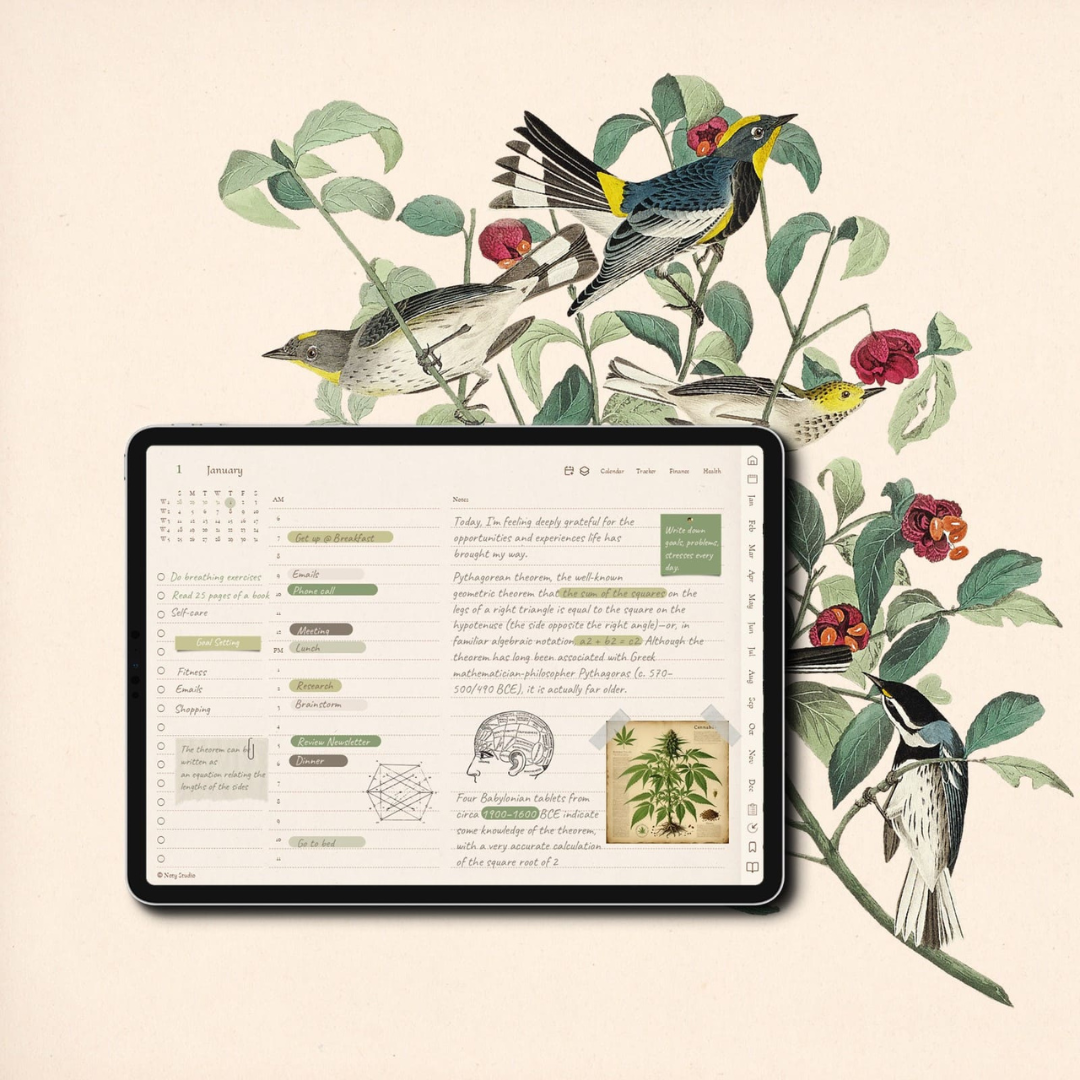 2025 & 2026 Digital Planner Templates Bundle – MRR & PLR Included - Image 3